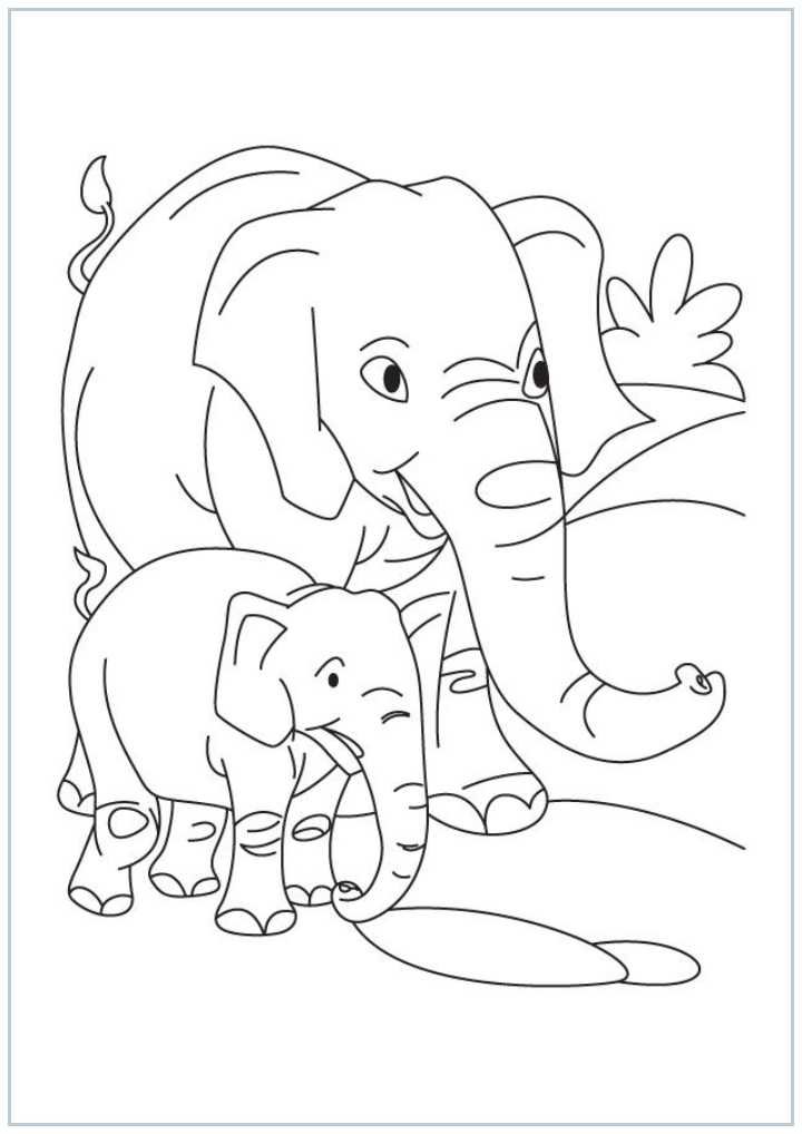 elephant with baby coloring page coloring page