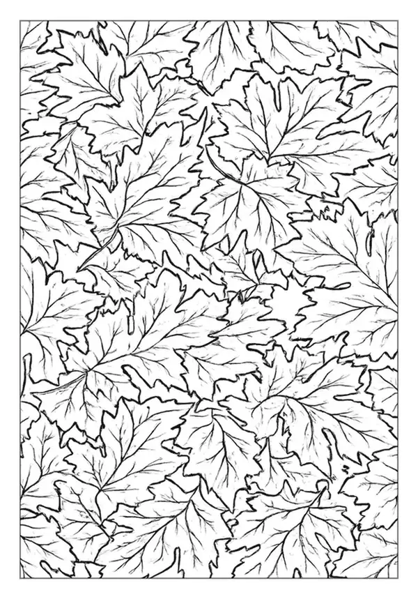 Geometric flower grid pattern coloring page with curved lattice.