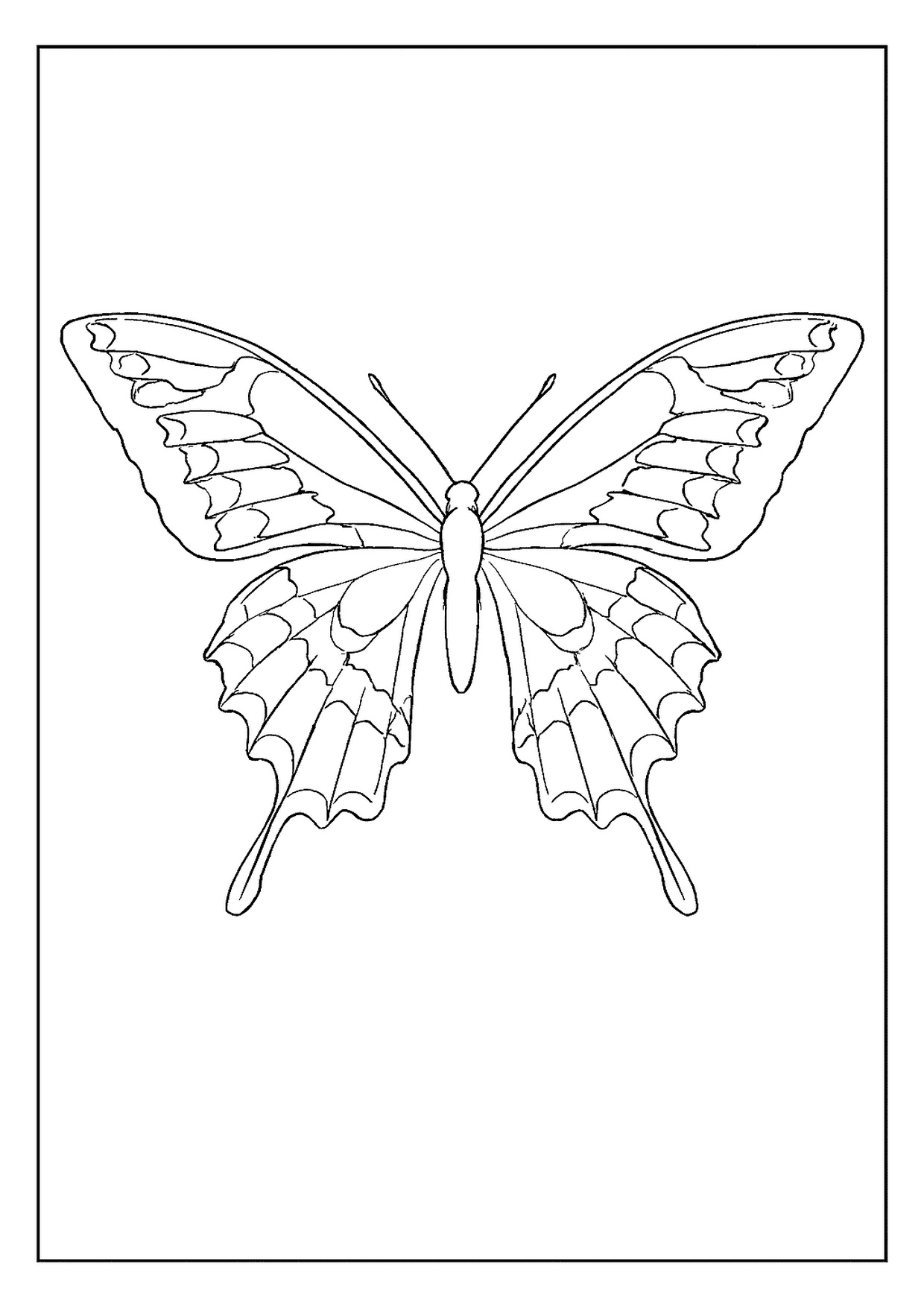 A Beautiful Giant Swallowtail Butterfly Coloring Page With Elegant Tails And Intricate Wing Patterns.