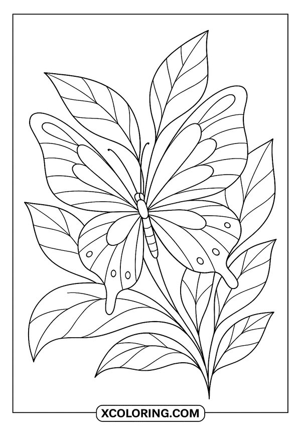Graceful Butterfly On Leaf coloring page