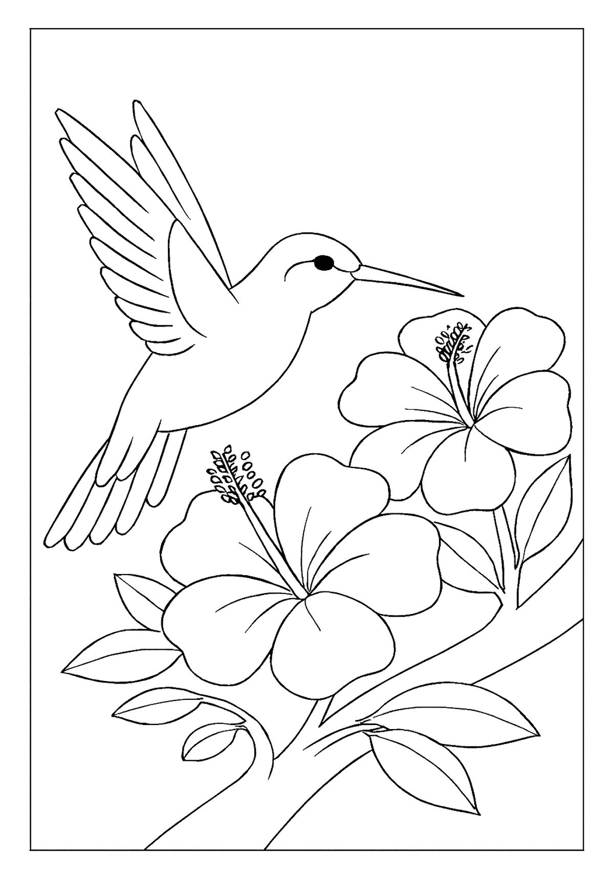 Hummingbird Near Bright Flowers Black and White Drawing A hummingbird bird coloring page gracefully hovering near large tropical flowers.