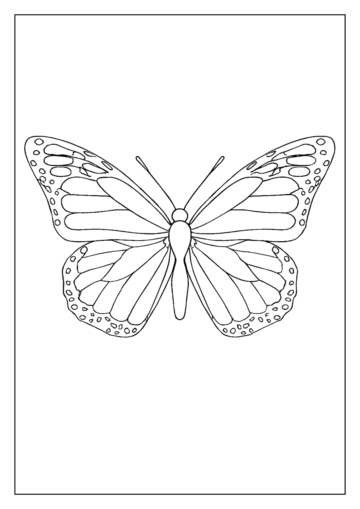 A Classic Monarch Butterfly Coloring Page With Intricate Veins And A Double Row Of Spots For Children.