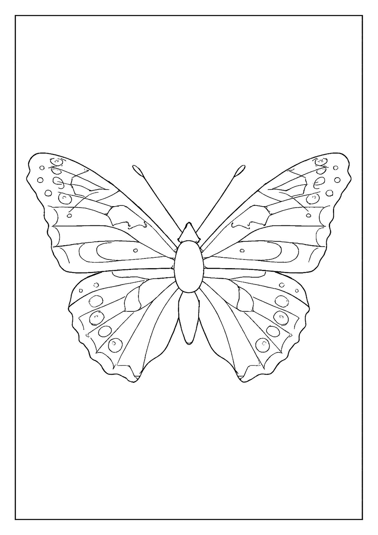 A Detailed Painted Lady Butterfly Coloring Page. This Insect Drawing Shows A Majestic Wing Pattern.