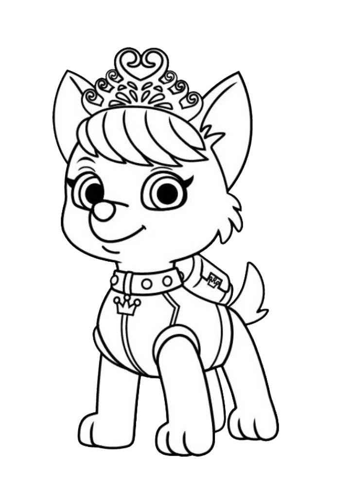 paw patrol pictures to print free coloring page