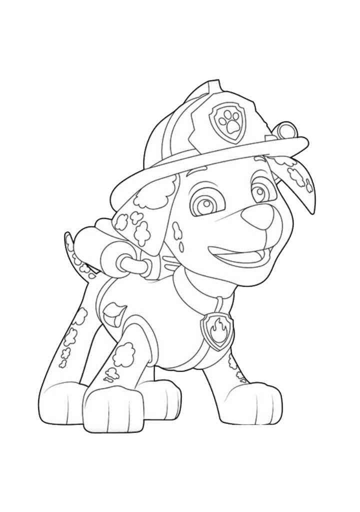 paw patrol rescue coloring sheets coloring page