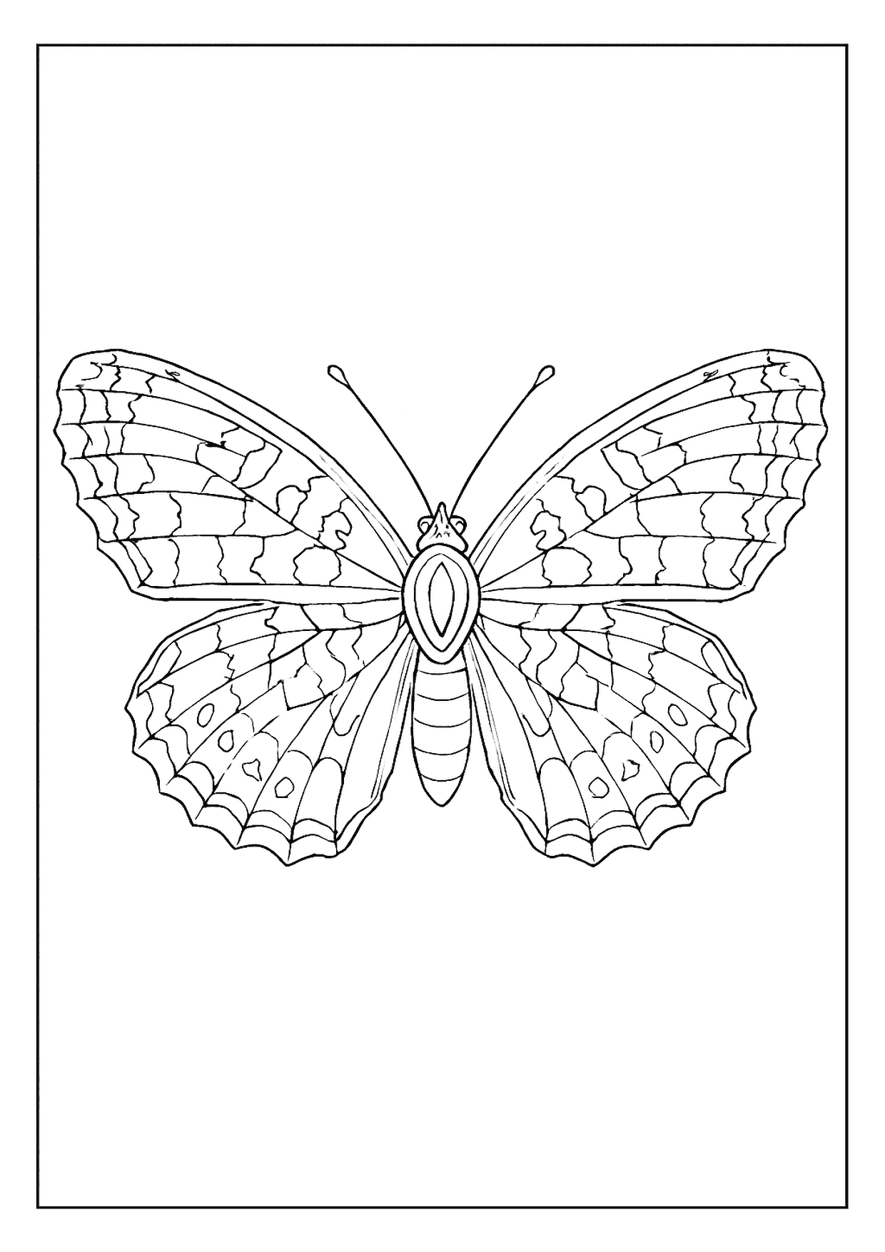 An Intricate Pearl Crescent Butterfly Coloring Page, Featuring Wings With Checkered And Spotted Sections.