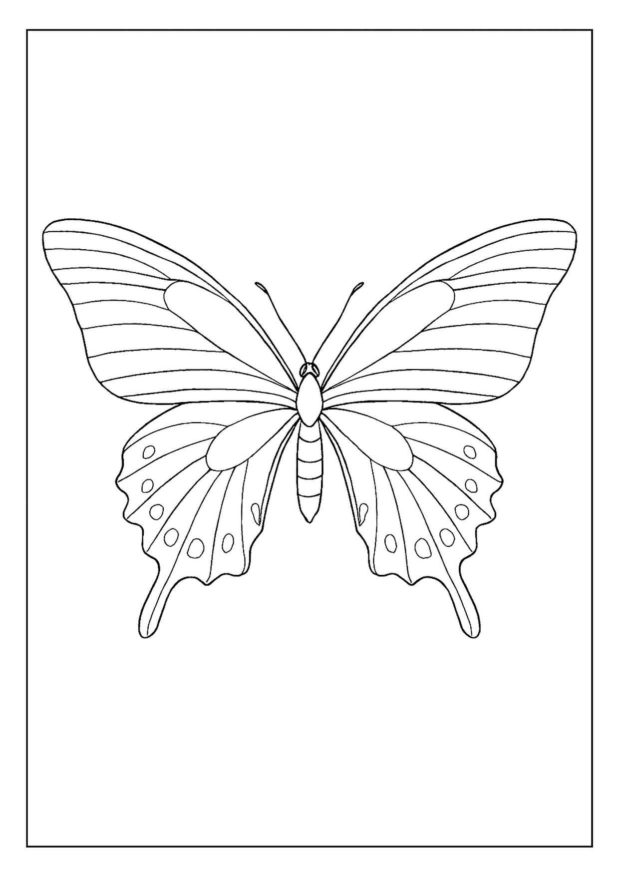 A Graceful Pipevine Swallowtail Butterfly Coloring Page. This Insect Is Shown In A Wide, Flying Pose.