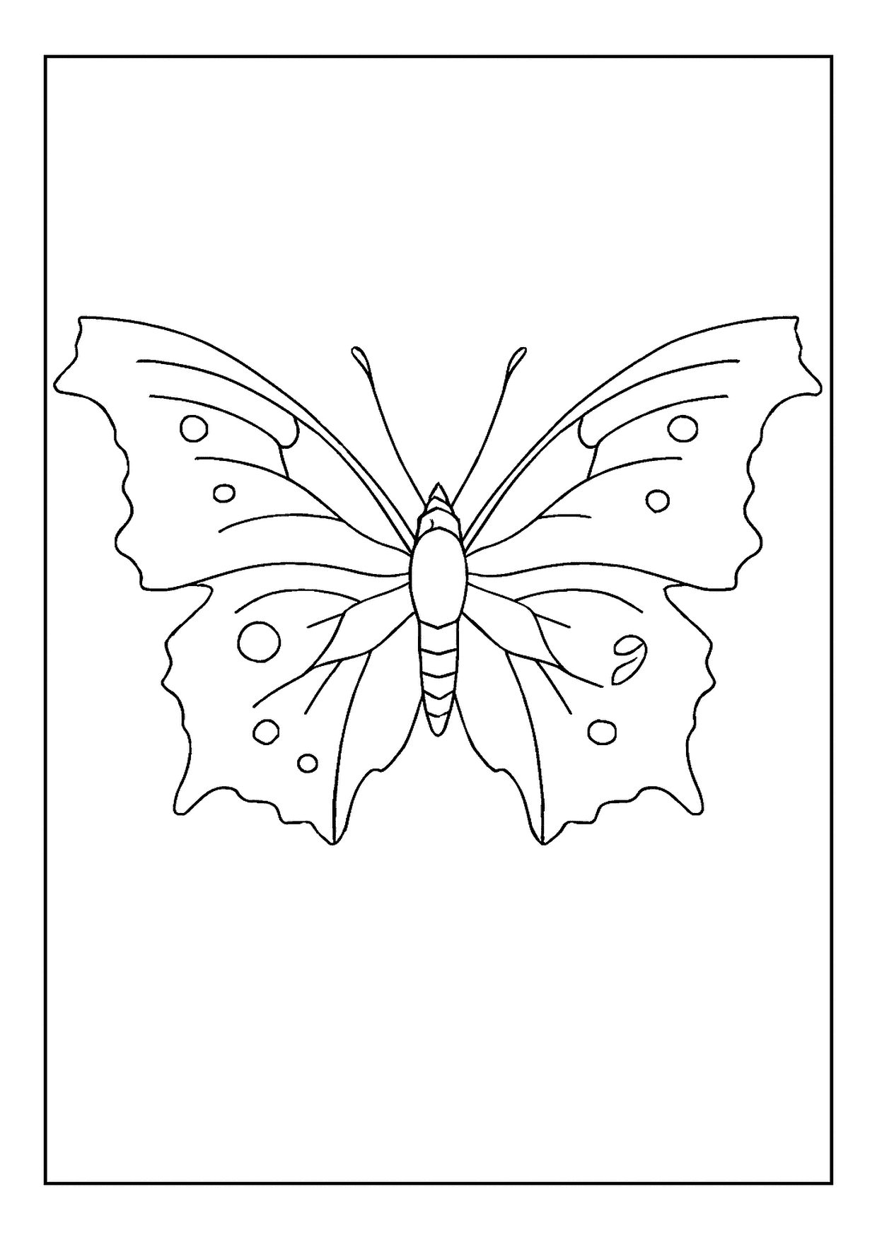 A Fun Question Mark Butterfly Coloring Page. This Unique Insect Has Jagged Wing Edges For Coloring.