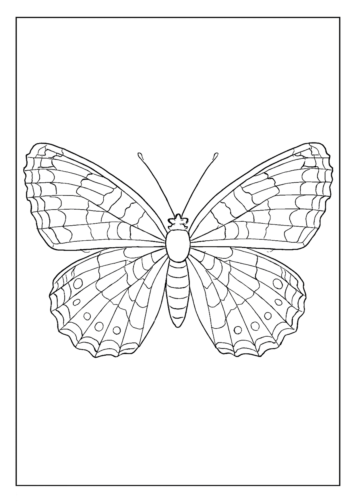 An Elaborate Silvery Checkerspot Butterfly Coloring Page With A Complex Body And Segmented Wings.