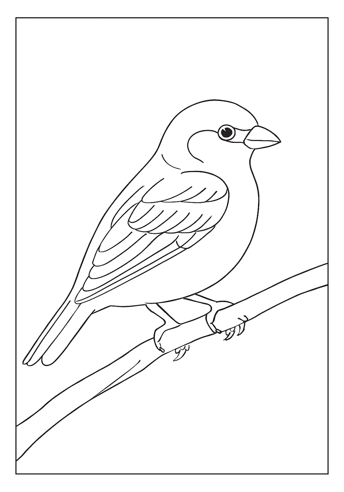 Sparrow Sitting On Branch Stress Relief Art A friendly sparrow perches on a branch in this simple bird coloring page for kids.