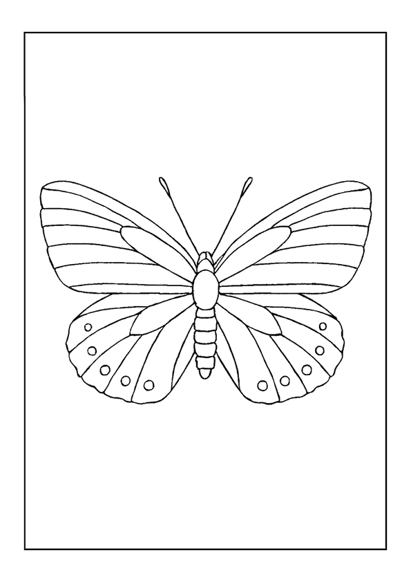 A Delicate Spring Azure Butterfly Coloring Page, Featuring Horizontal Stripes And Spots On Its Wings.