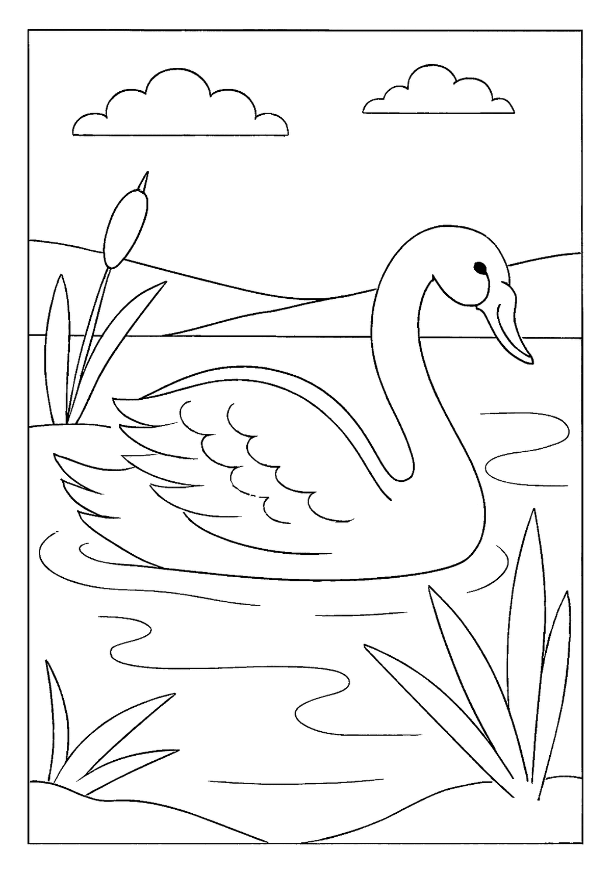 Swan Gliding On Lake Kids Activity Graceful swan bird coloring page smoothly gliding on the calm water of a lake with reeds.