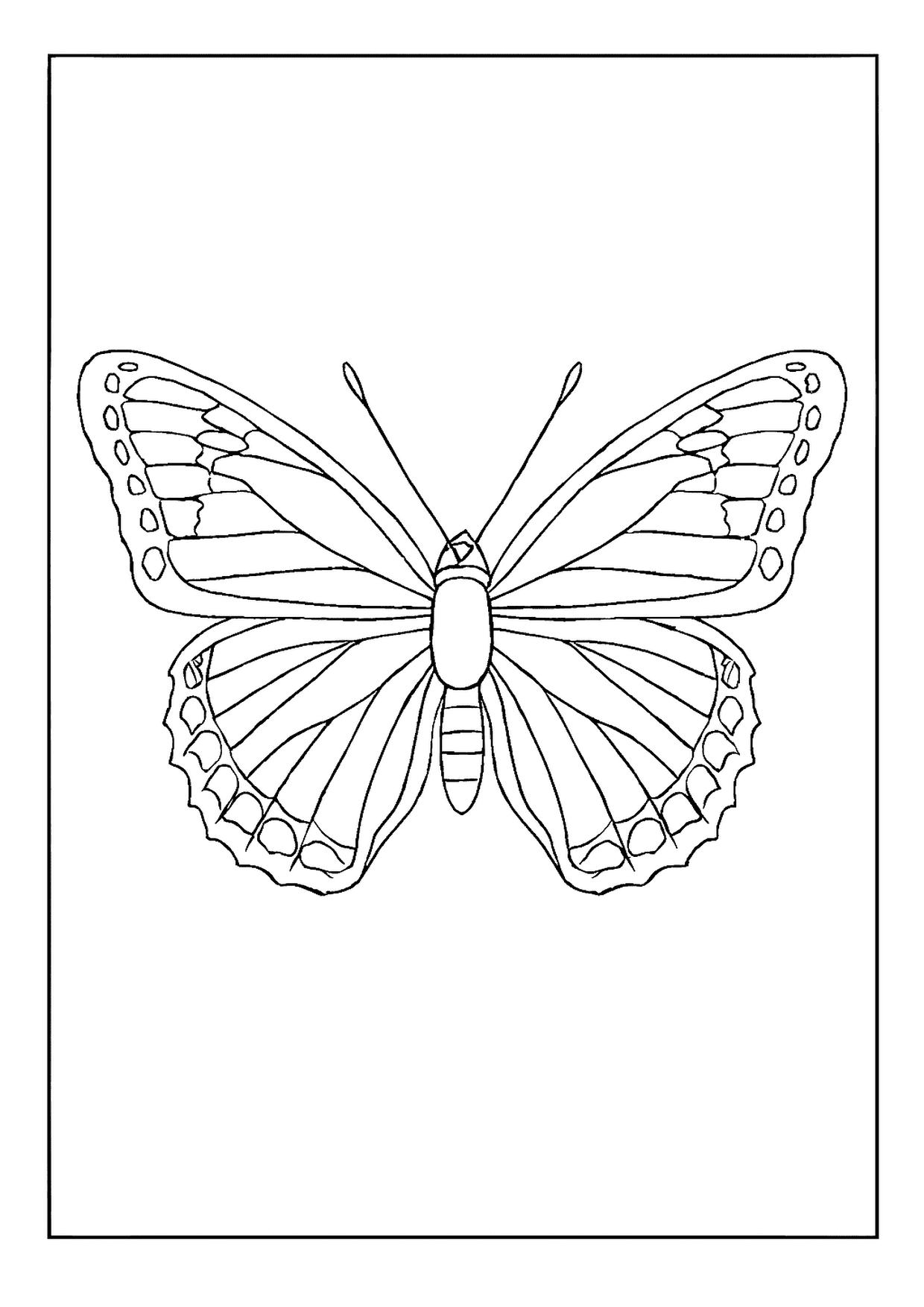 A Flying Viceroy Butterfly Coloring Page Design. This Beautiful Insect Has Scalloped Bottom Wing Edges.