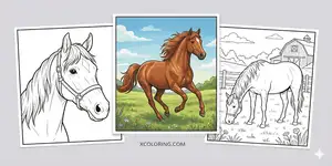 Horse Coloring Pages